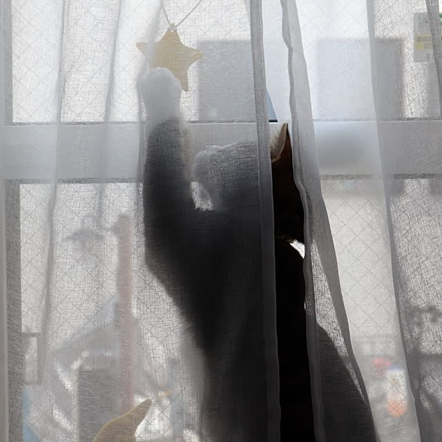 nottanさんの実例写真