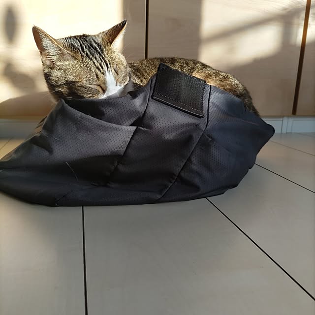 hanacocoさんの部屋