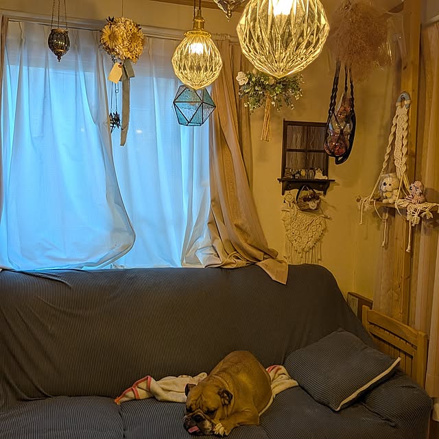 chi_gogaさんの実例写真