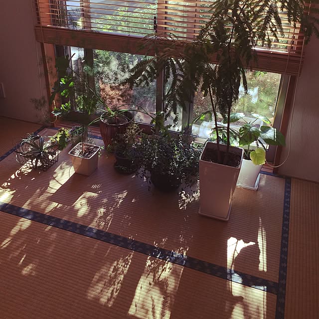 SAFARIさんの実例写真