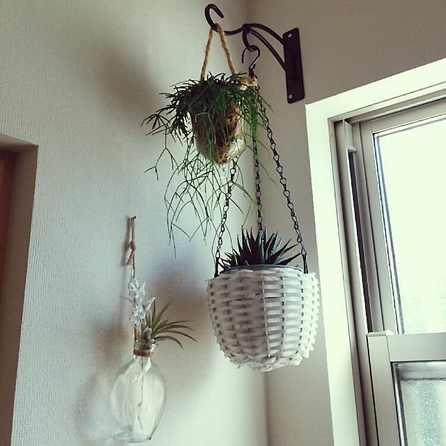 Esさんの実例写真