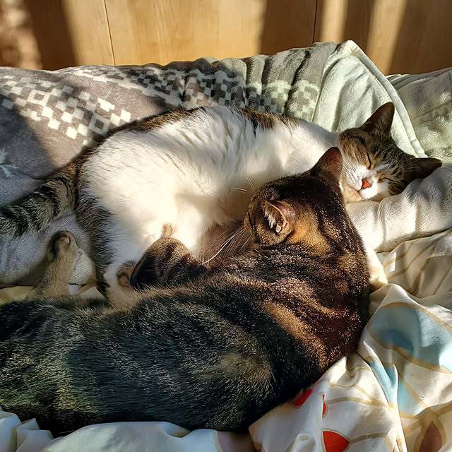 hiroさんの実例写真
