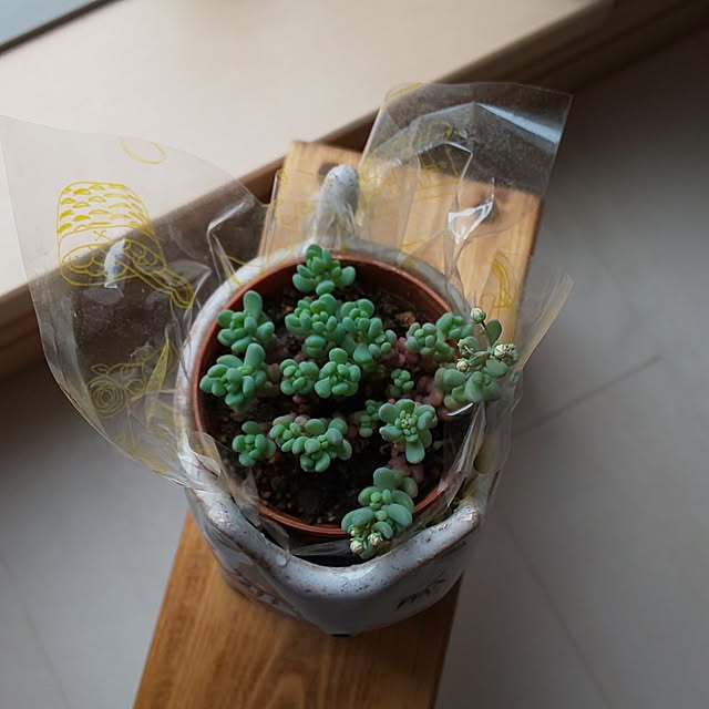 KOHAKUさんの部屋
