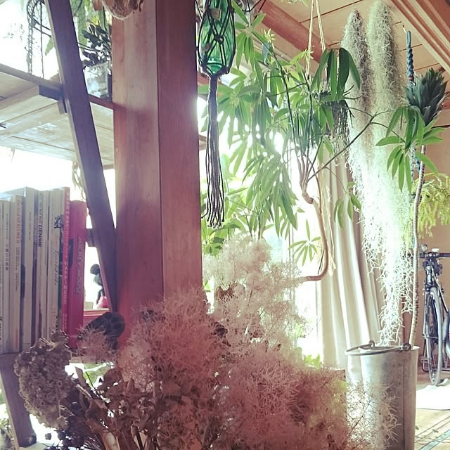 takenさんの実例写真