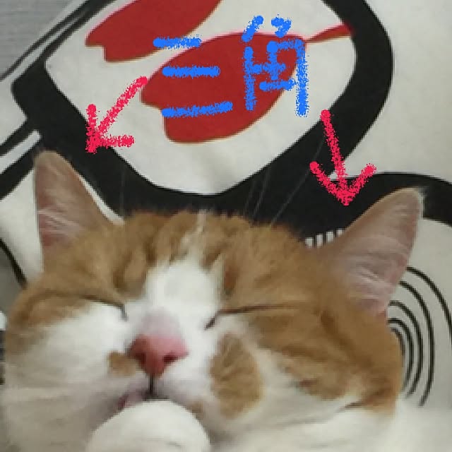 chi_kaさんの実例写真