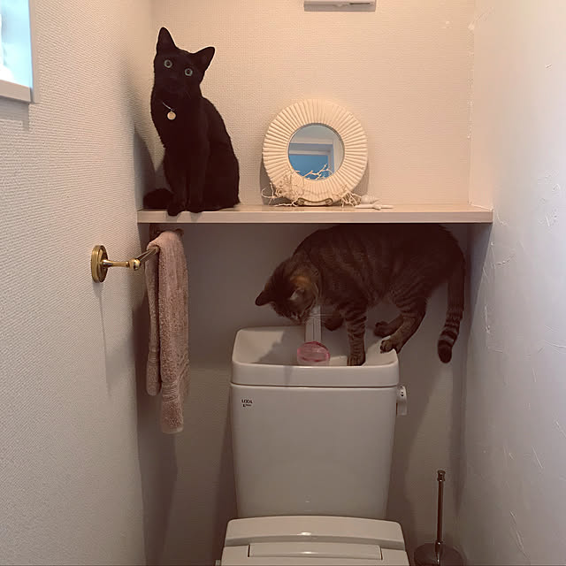 Tomococoroさんの実例写真