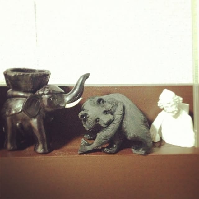 tomさんの実例写真