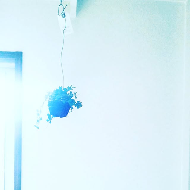 fika_naeさんの実例写真