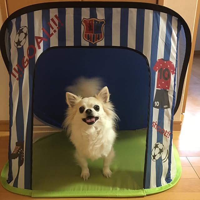 akoさんの実例写真
