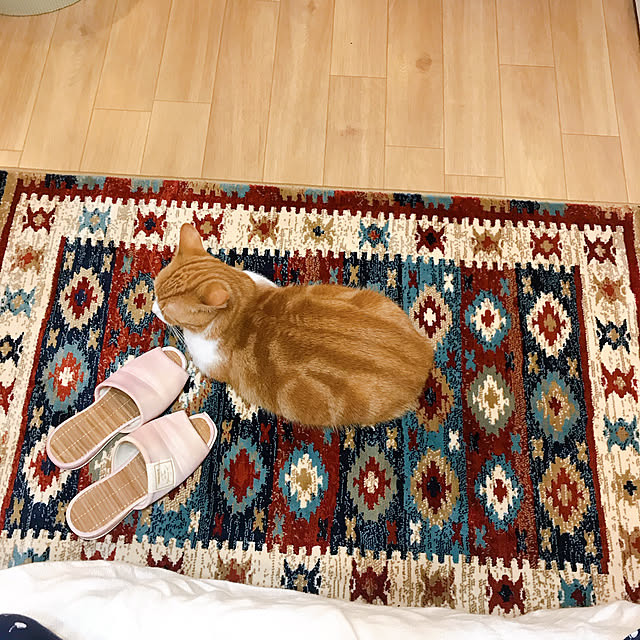 maruさんの実例写真