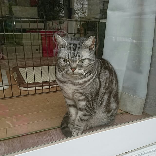 ronさんの実例写真