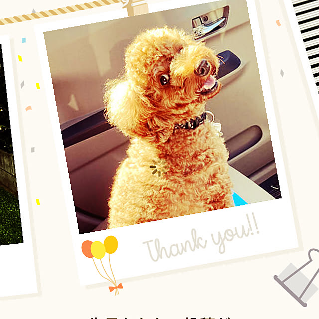 MOMOMAMAさんの実例写真