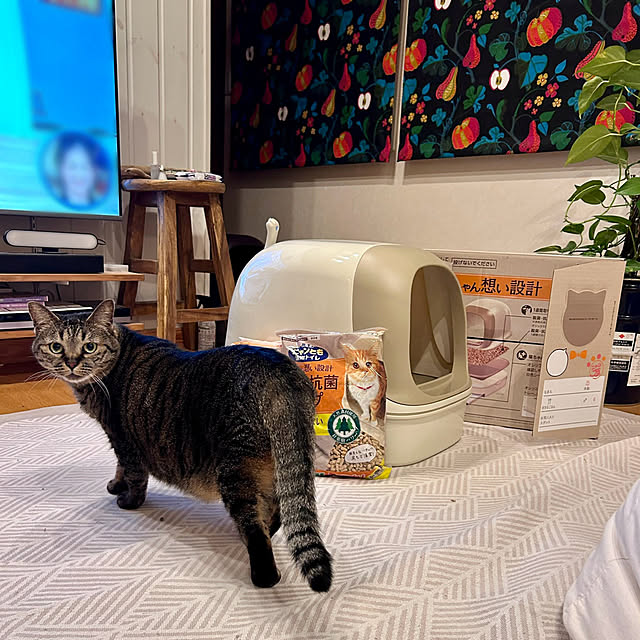 sachiさんの実例写真