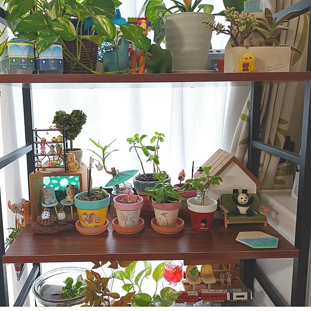 tomo5さんの部屋