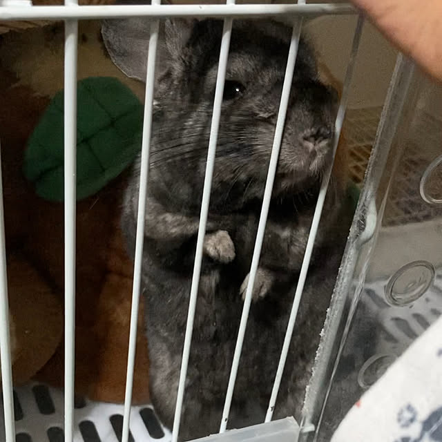 milkさんの実例写真
