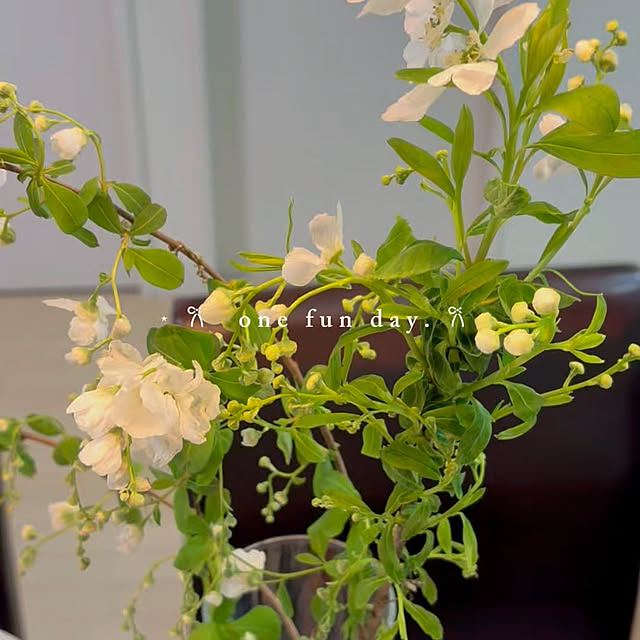 rikuerinka86さんの部屋