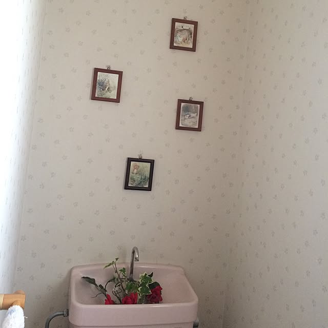 cooさんの実例写真