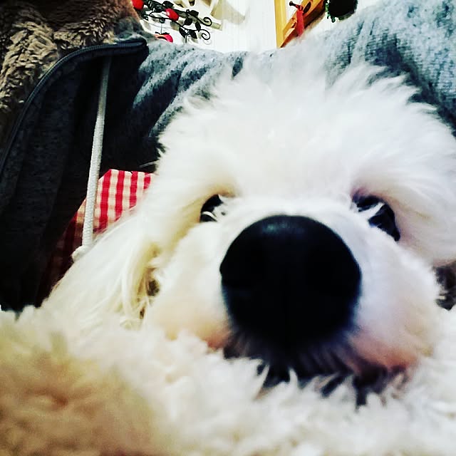445Tさんの実例写真