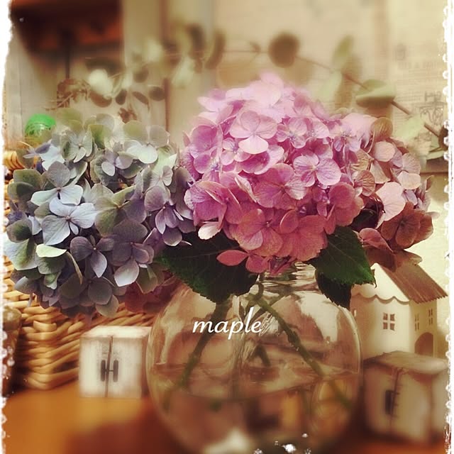 mapleさんの実例写真