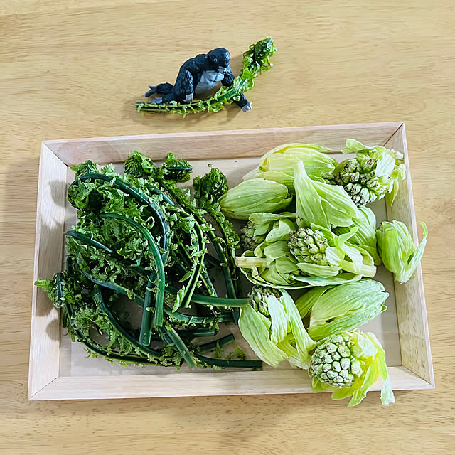 kazu15さんの部屋