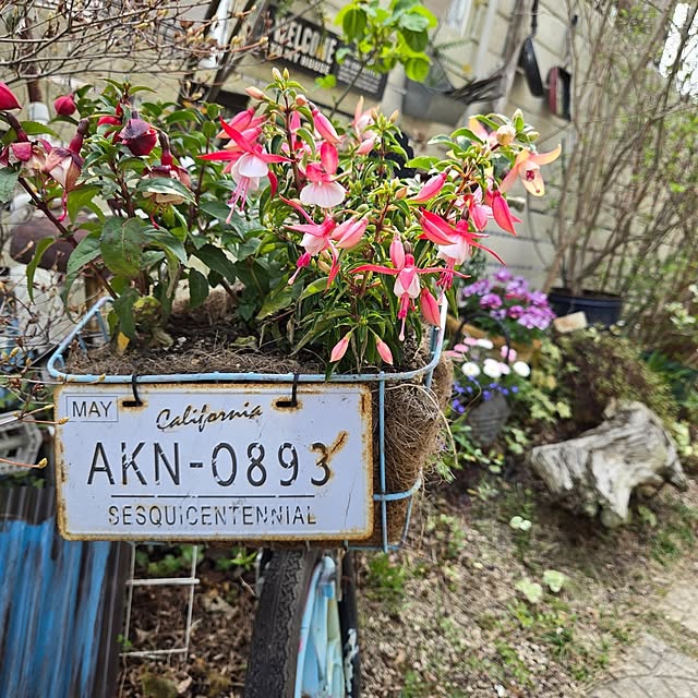 min_nimさんの部屋