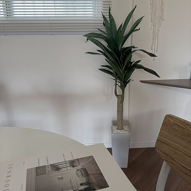 フェイクグリーン/光触媒観葉植物/観葉植物/部屋全体のインテリア実例 - 2024-06-21 21:15:16