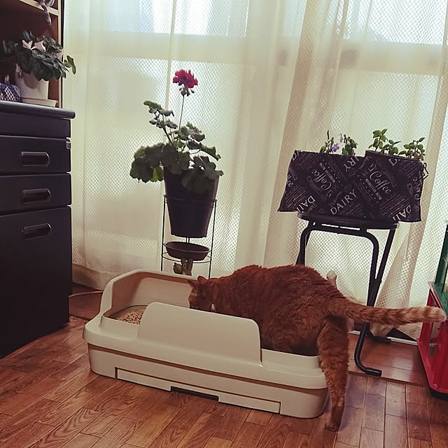 NOAHさんの部屋