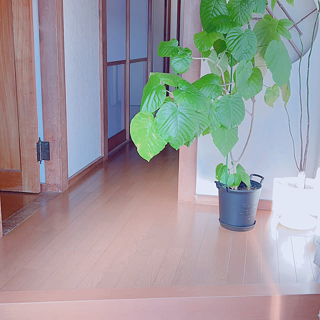 aiさんの実例写真