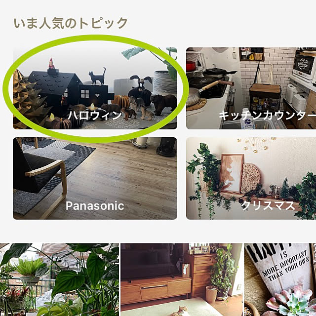 Mitsuさんの実例写真