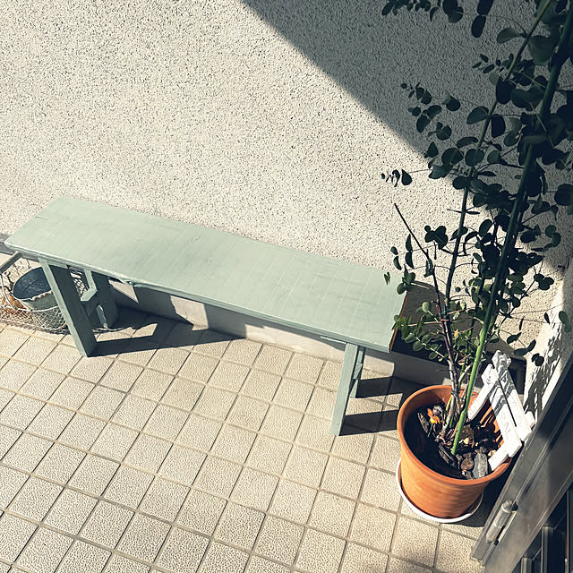 cyaroさんの部屋