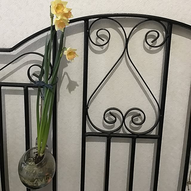 sil_tilさんの実例写真