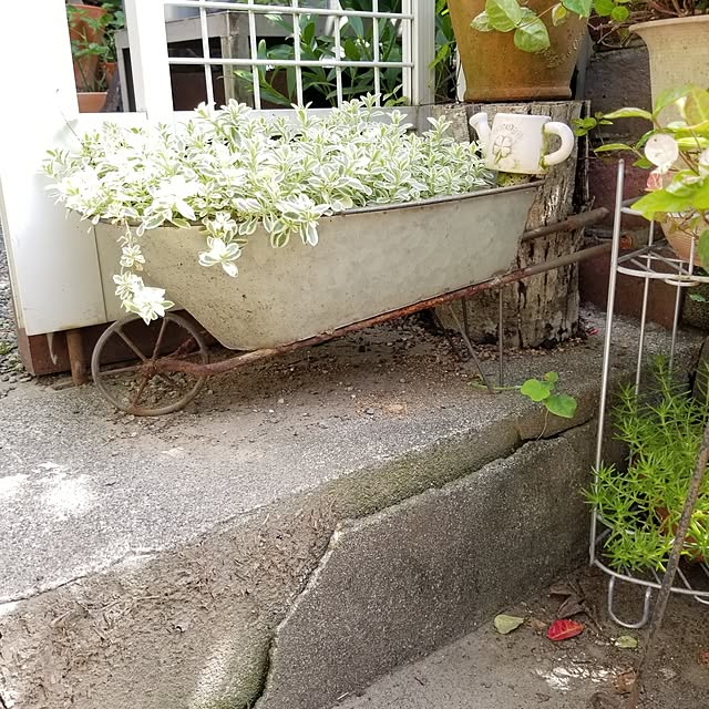 midoriさんの実例写真