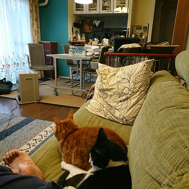 okyosan101さんの実例写真