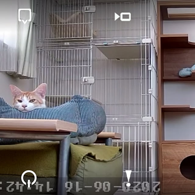 koyurizuさんの実例写真