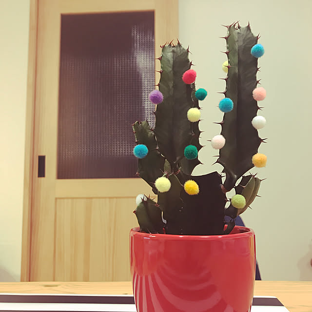 Mayaさんの実例写真