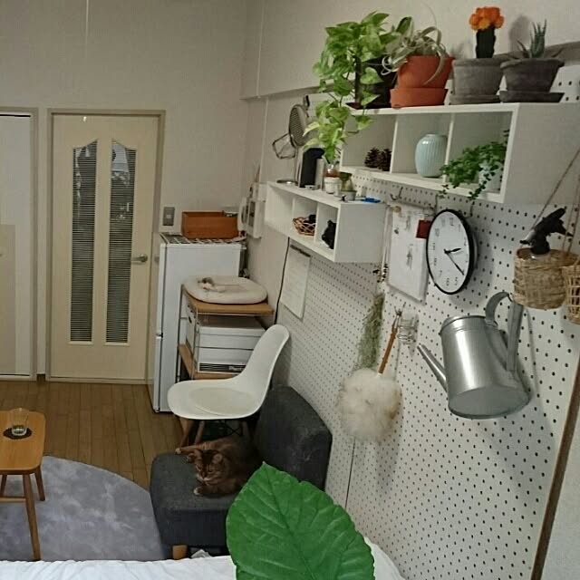 komugiさんの実例写真