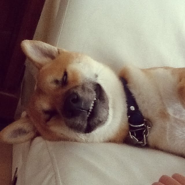 kotaさんの実例写真