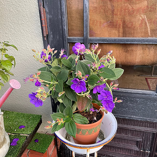 shin0719さんの部屋