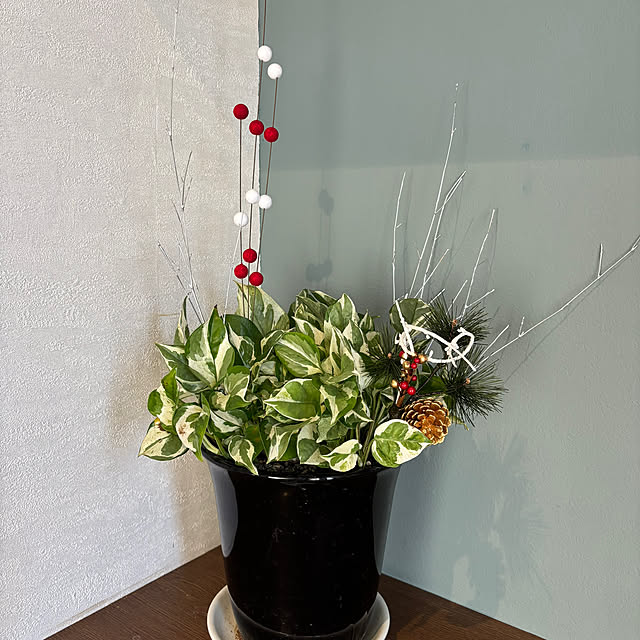 CASSISさんの部屋