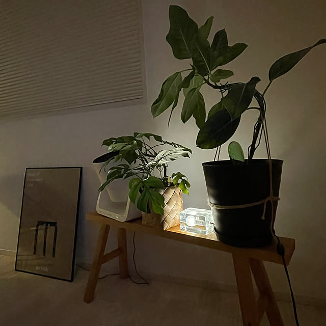 ayutaxさんの部屋