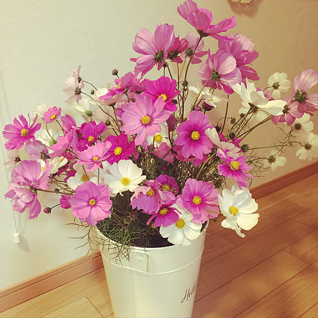 ma-yuさんの実例写真