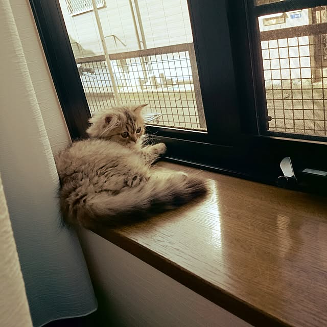 hanaさんの実例写真