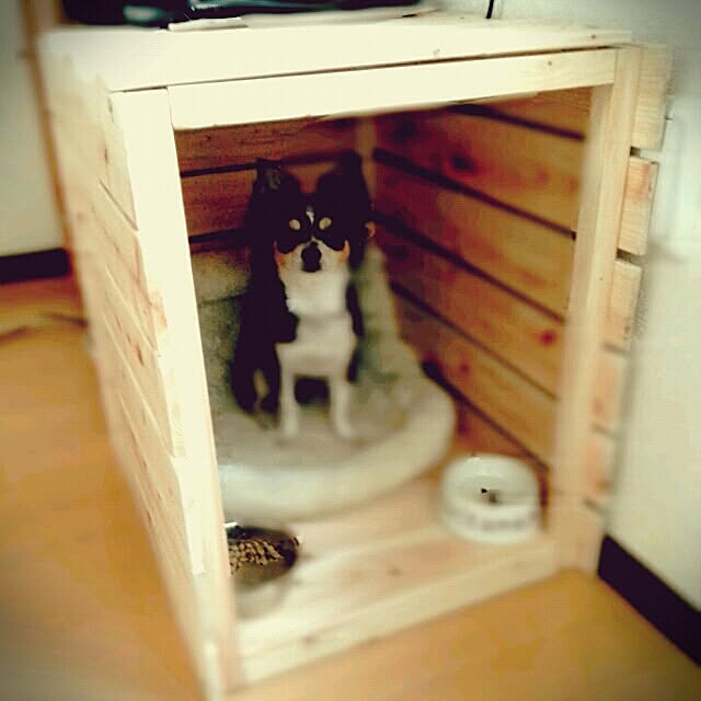 rponさんの実例写真