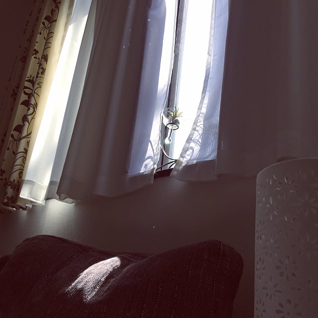 sumireさんの実例写真