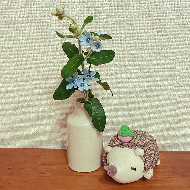 Suzu.さんの実例写真