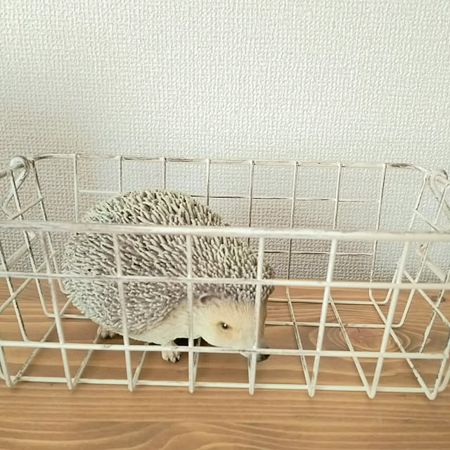 0c.c0さんの実例写真