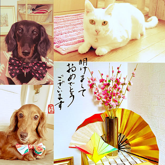 Maiさんの実例写真