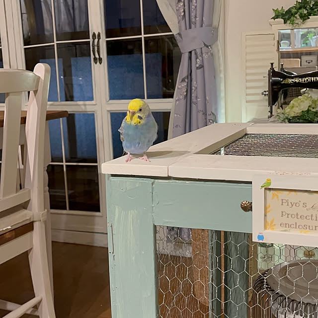 Atsukoさんの部屋