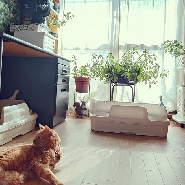NOAHさんの実例写真