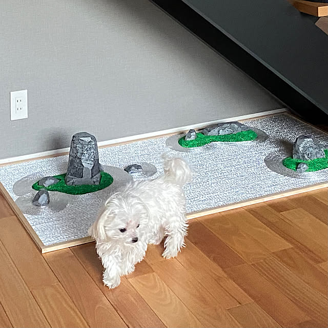 runmalgoさんの部屋